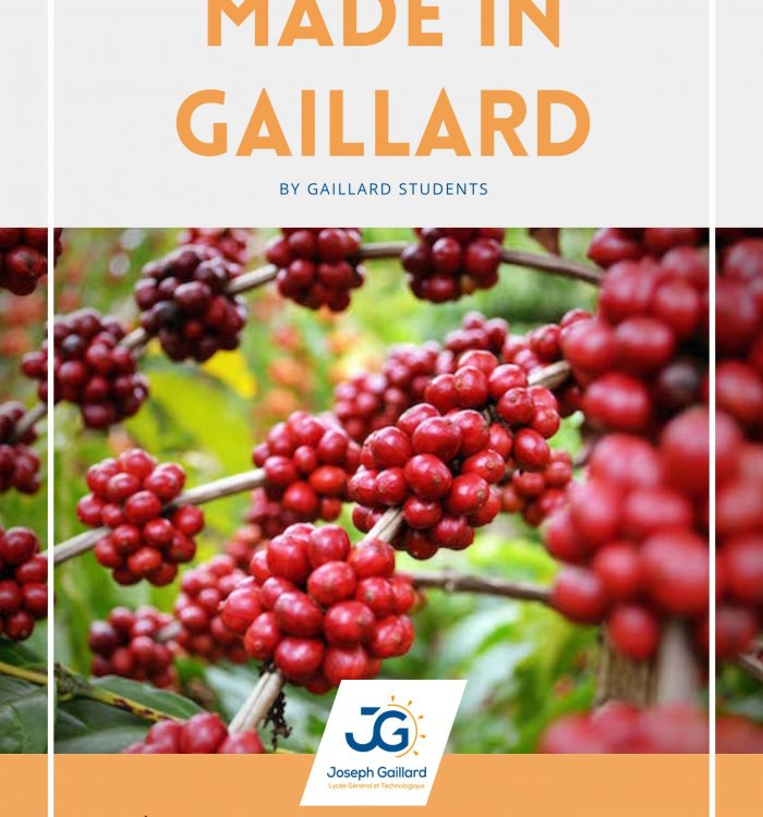 Exploration locale et caféine : Découvrez la seconde édition de Made in Gaillard