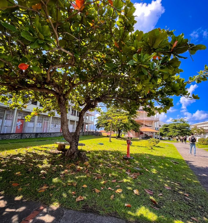Entrepreneuriat au Féminin : Le Lycée Joseph Gaillard s&rsquo;engage !